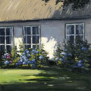 Hortensien vor Friesenhaus / Keitum