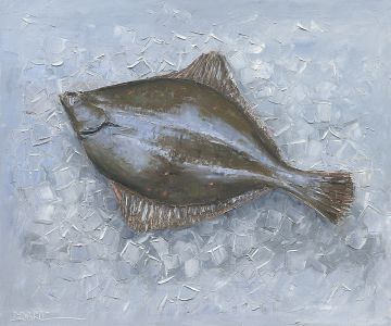 Scholle auf Eis