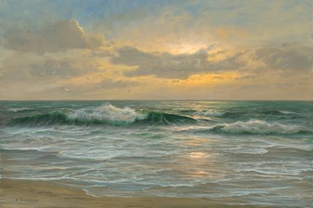 Möwen am Strand